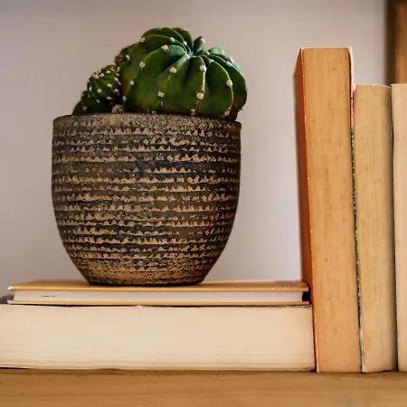 La Ganza Visit The Charming Sea Of Tuscany شقة بورتوفيرّايو