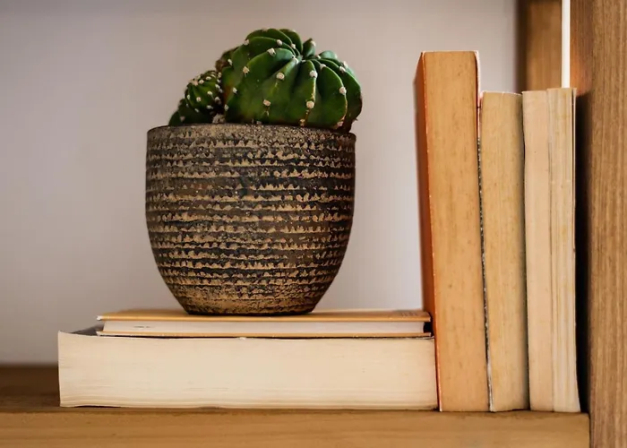 La Ganza Visit The Charming Sea Of Tuscany Apartment Portoferraio